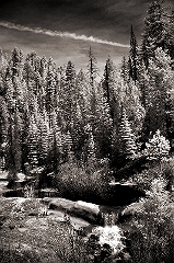 Forest Waterfall In the Apache National Forest, AZ � Dave Hickey